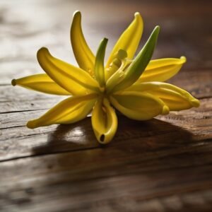 Aceite Esencial de Ylang Ylang