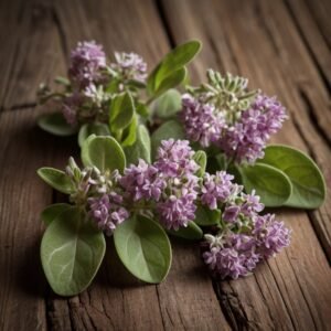 Aceite Esencial de Mejorana